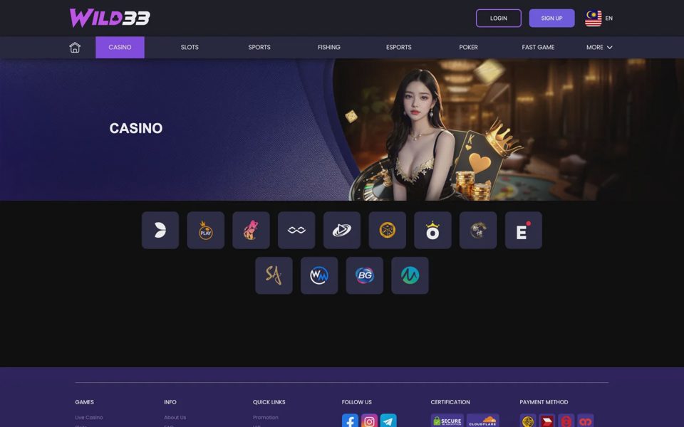Live-казино Wild33