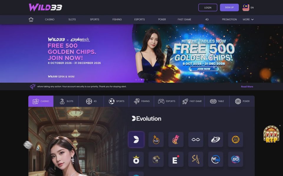 Главная страница Wild33
