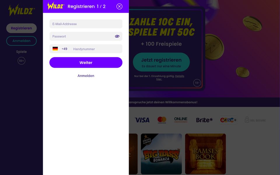 Форма регистрации Wildz