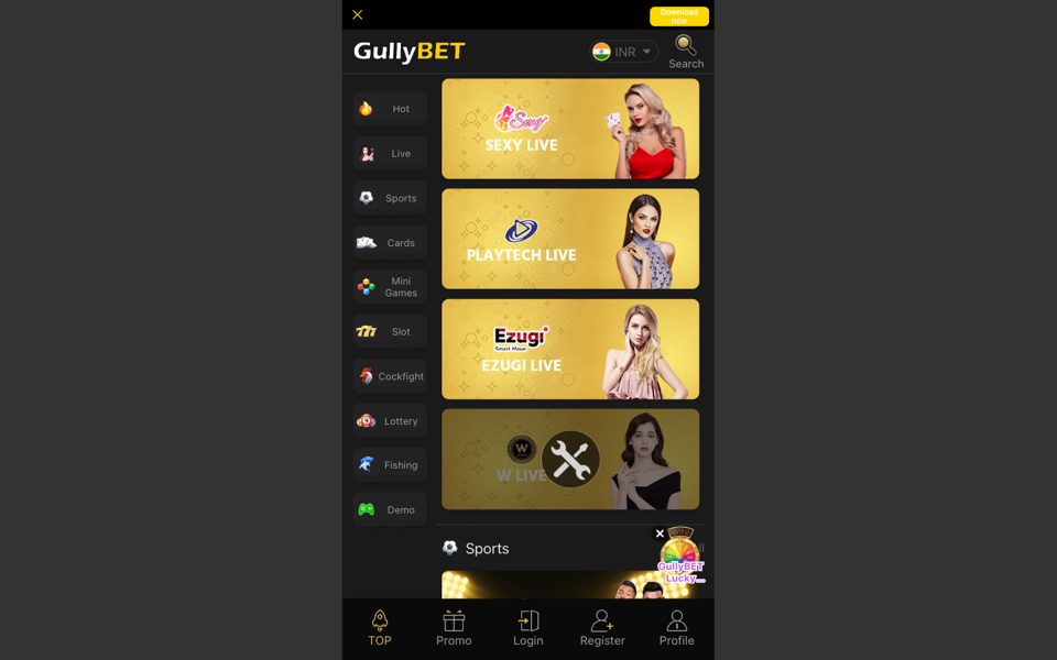 Петушиные бои Gullybet