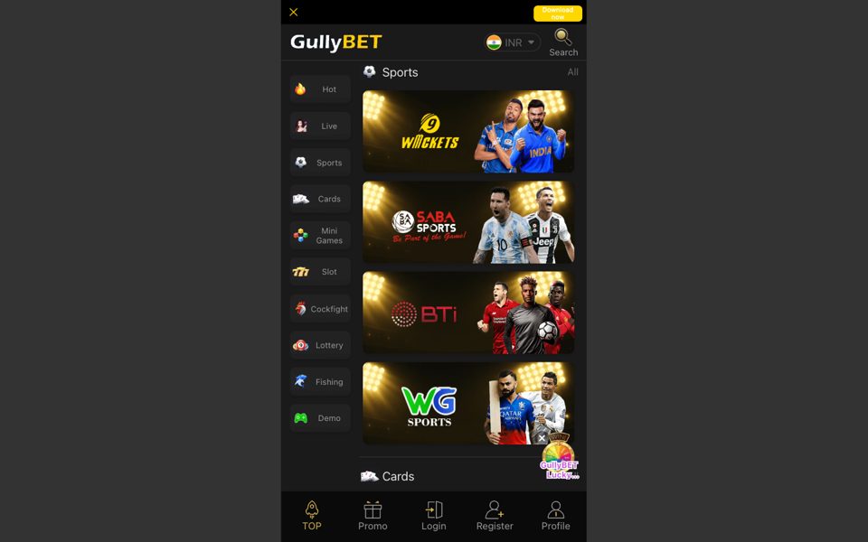 Gullybet sports betting