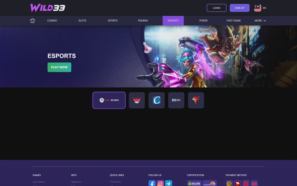Wild33 esports